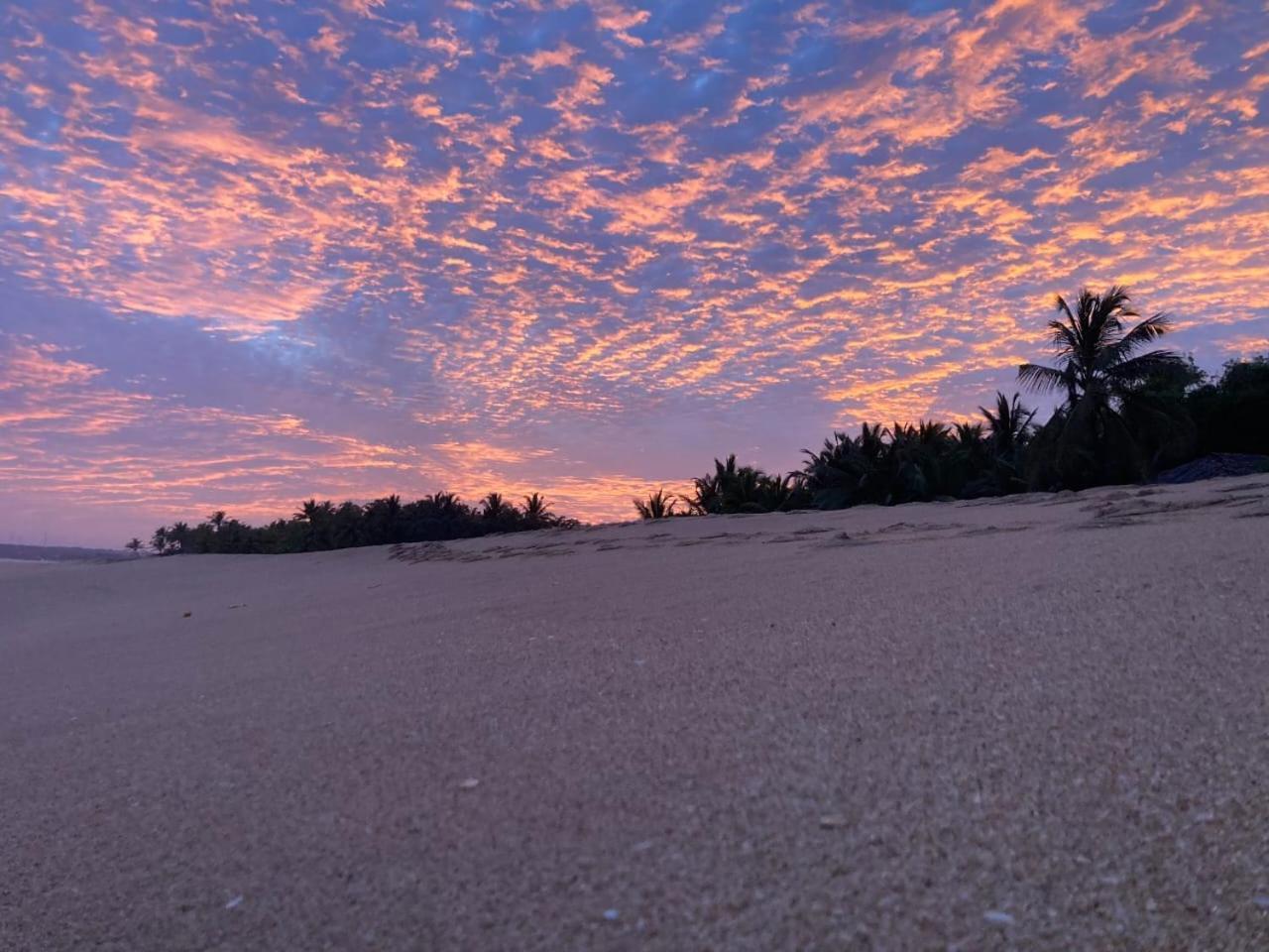Southern Edge Cabanas Tangalle Buitenkant foto